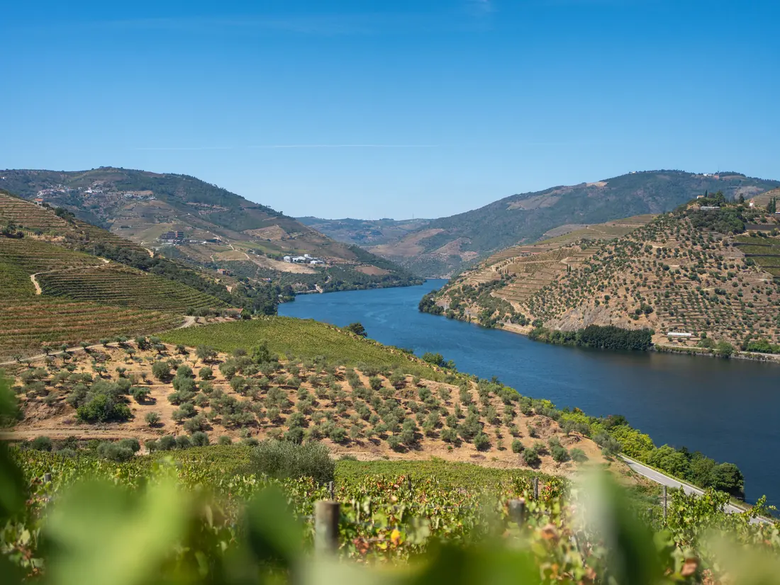 Der Douro zwischen Weinbergen in Terrassen
