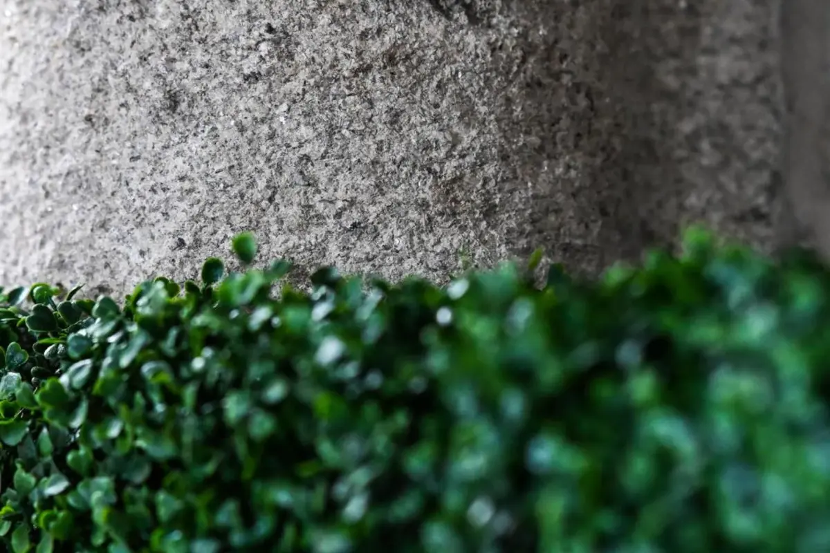 6/4 de Lamego - Imagem 50