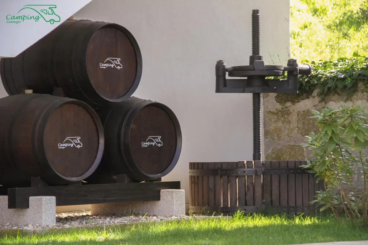 Camping Lamego Douro Valley - Imagem 20