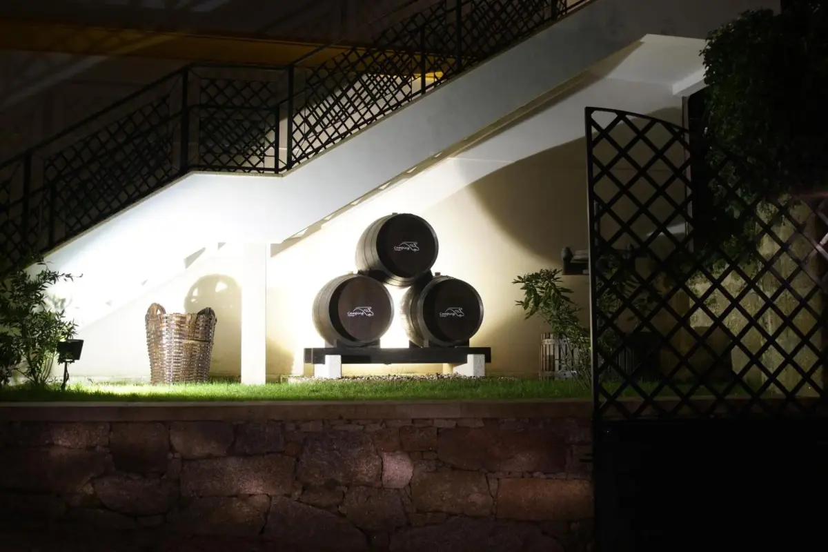 Camping Lamego Douro Valley - Imagem 96