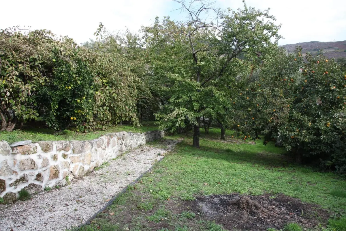 Casa Cardoso - Imagem 22