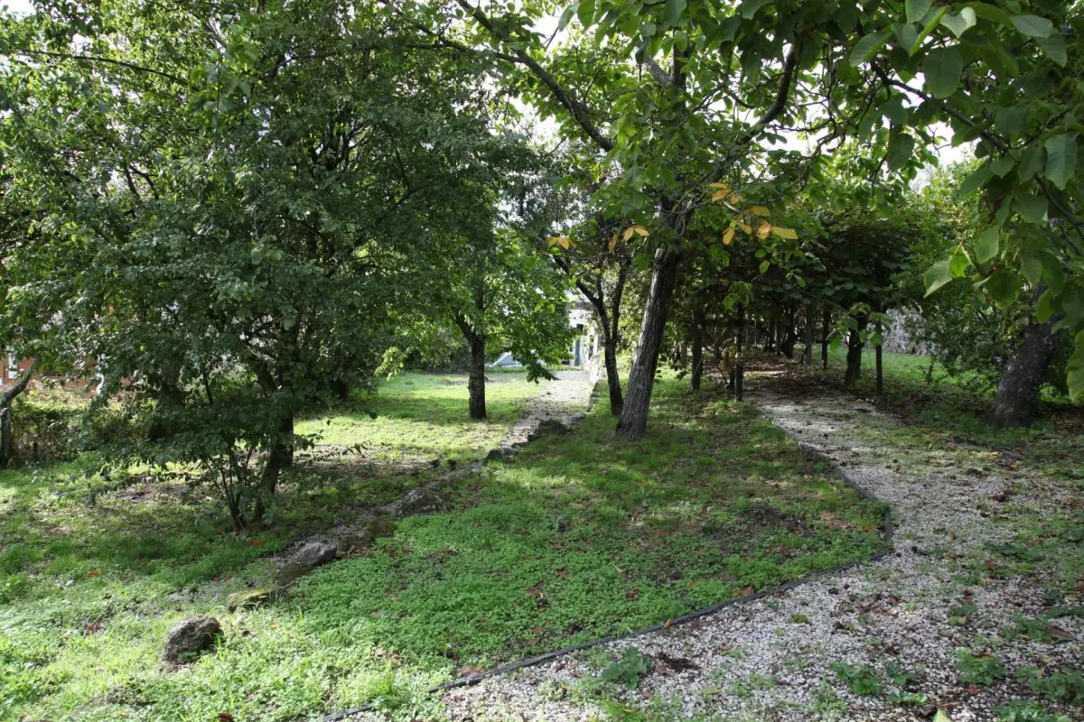 Casa Cardoso - Imagem 23