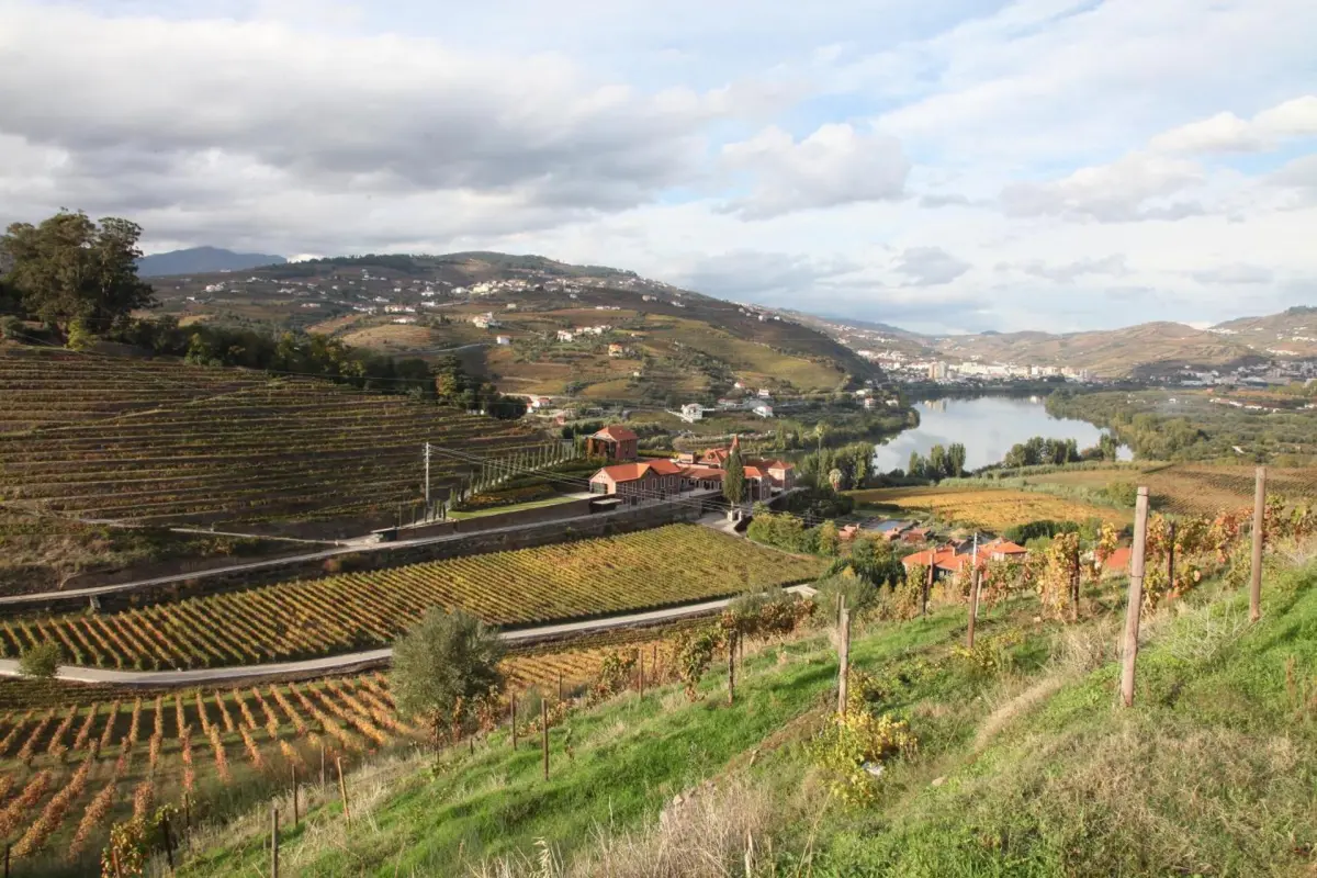 Casa Cardoso - Imagem 24