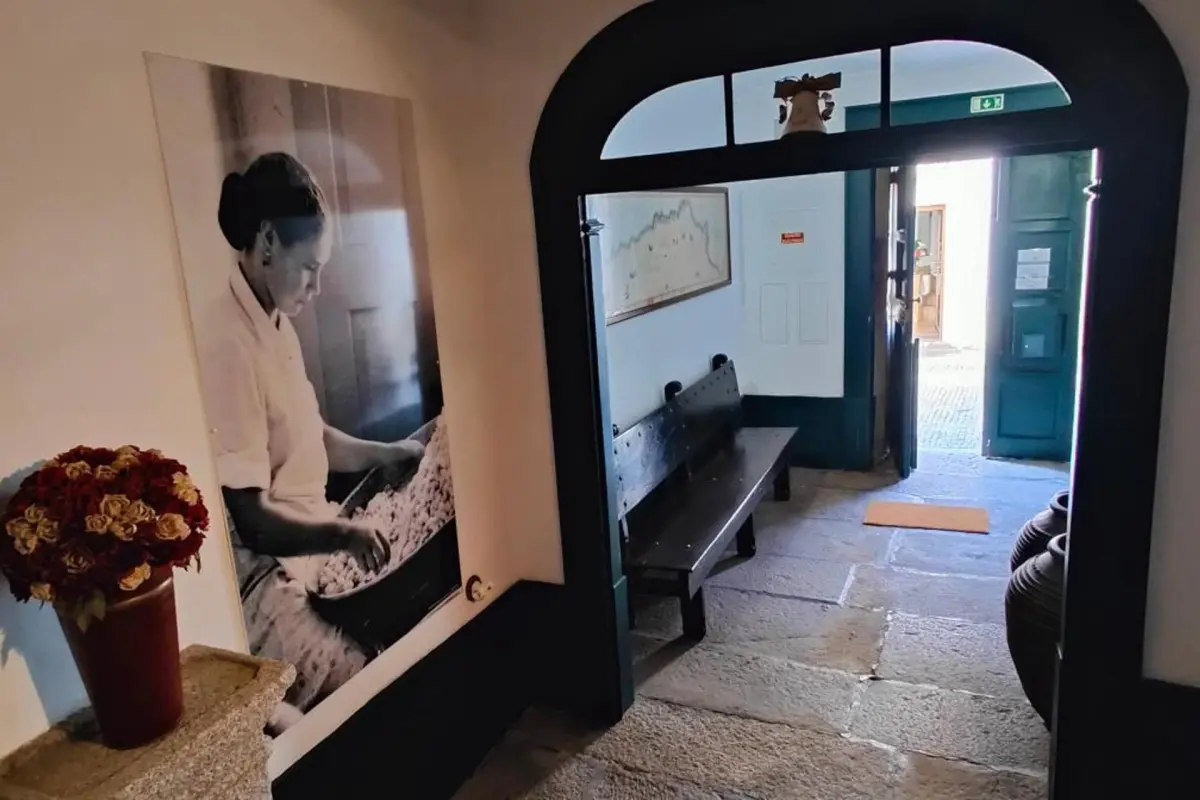 Casa Da Avo - Turismo De Habitacao - Imagem 14