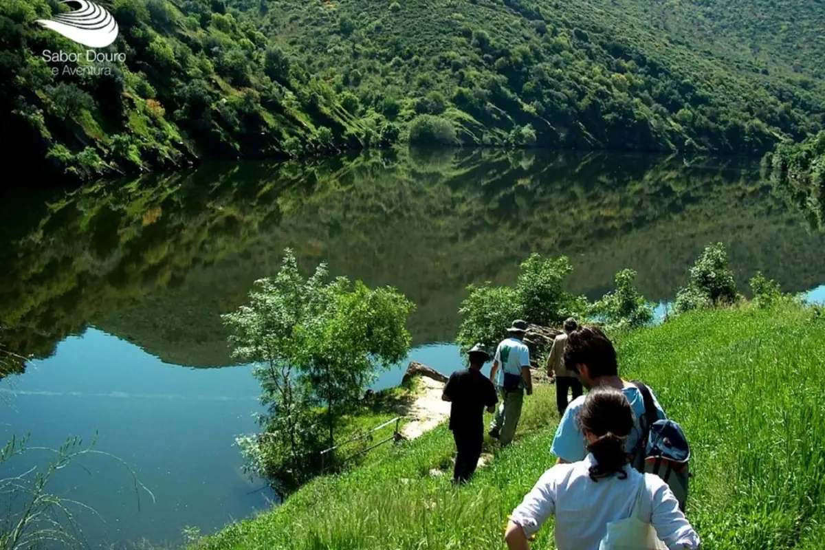 Casa Da Avo - Turismo De Habitacao - Imagem 53