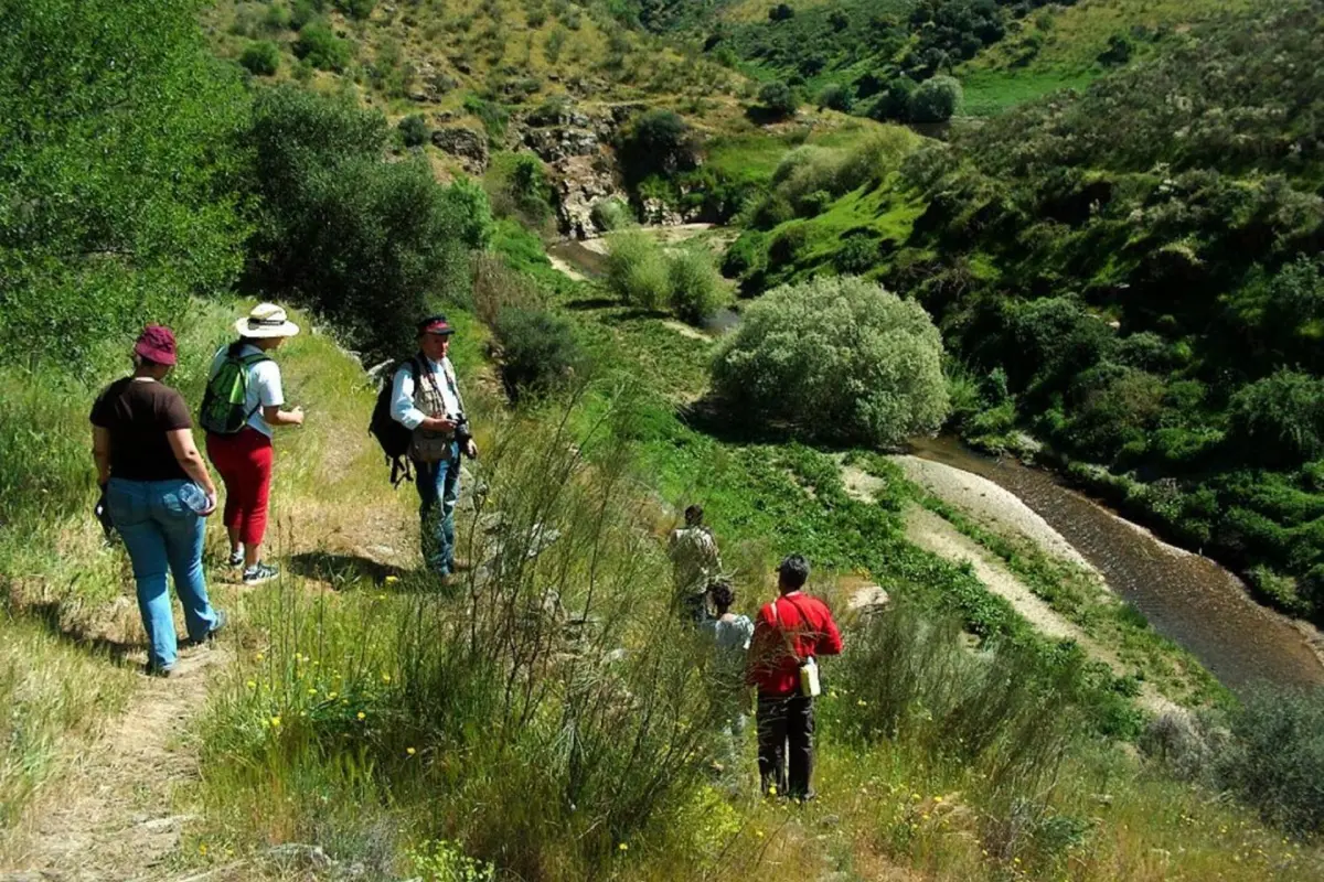 Casa Da Avo - Turismo De Habitacao - Imagem 55