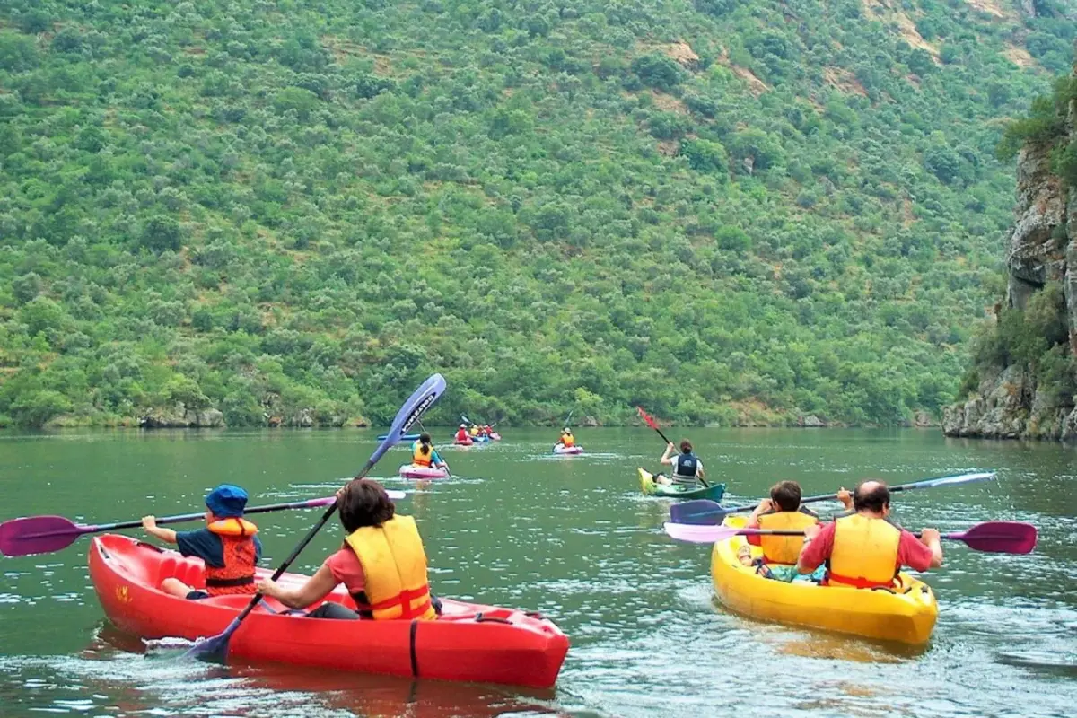 Casa Da Avo - Turismo De Habitacao - Imagem 56