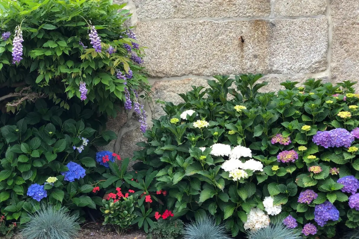 Discover the Charm of Casa da Ventozella: The Perfect Refuge for Everyone - Imagem 22