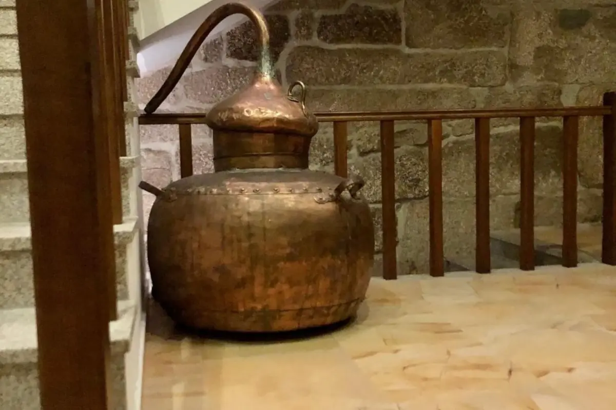 Discover the Charm of Casa da Ventozella: The Perfect Refuge for Everyone - Imagem 35