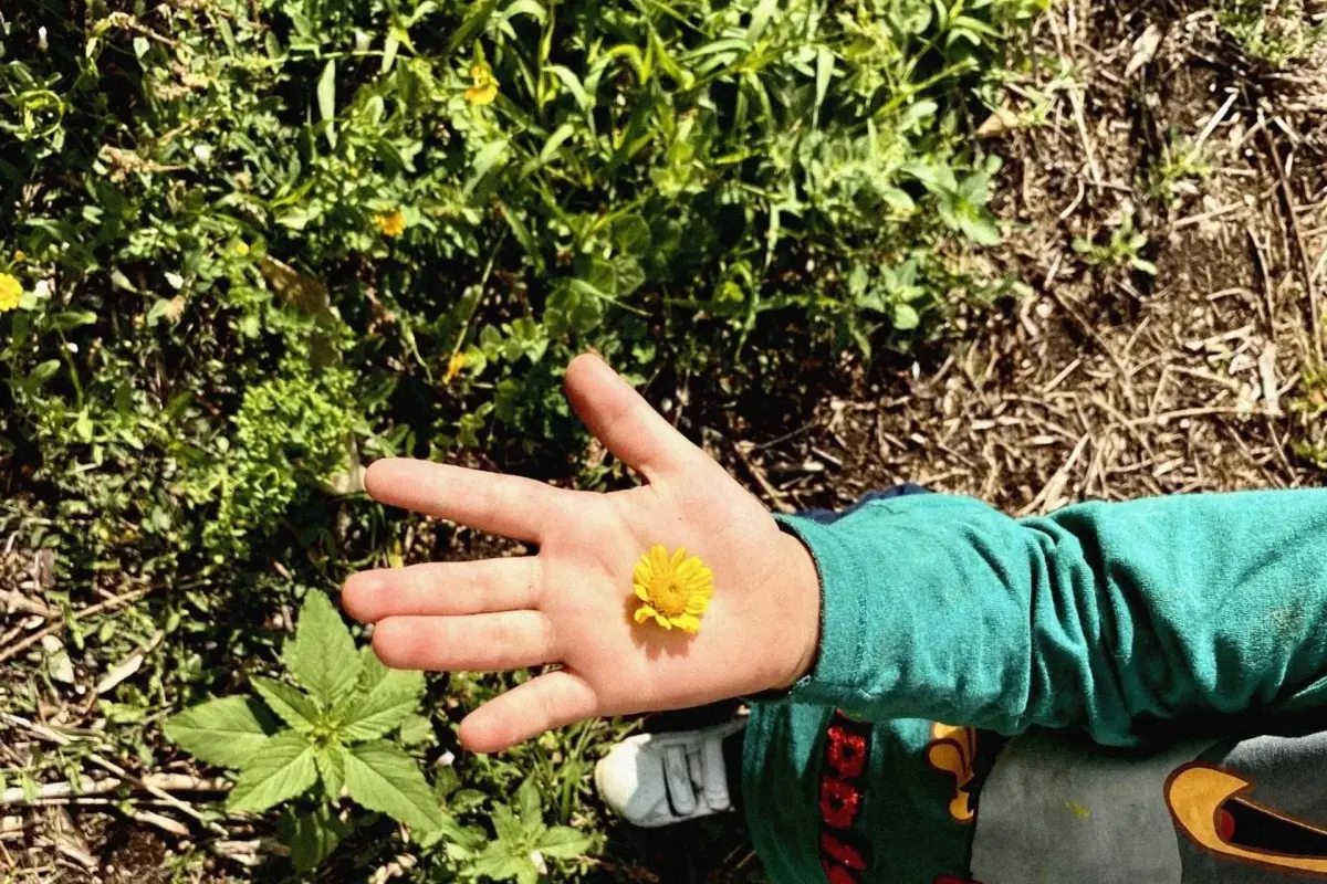 Casa das Laranjeiras - Imagem 101