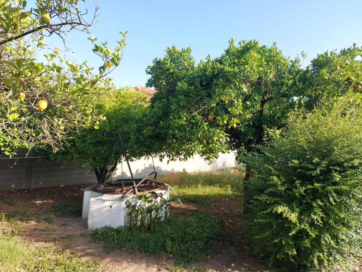 Casa das Laranjeiras - Imagem 103