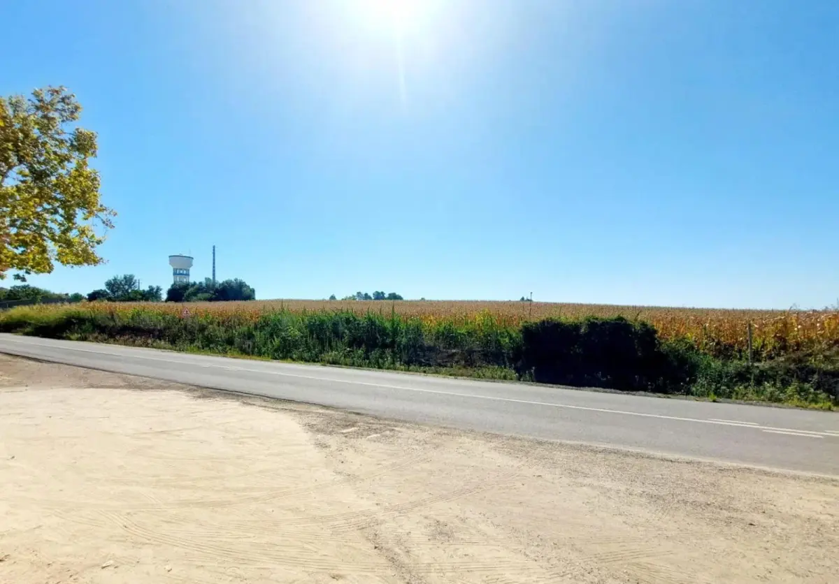 Casa das Laranjeiras - Imagem 23