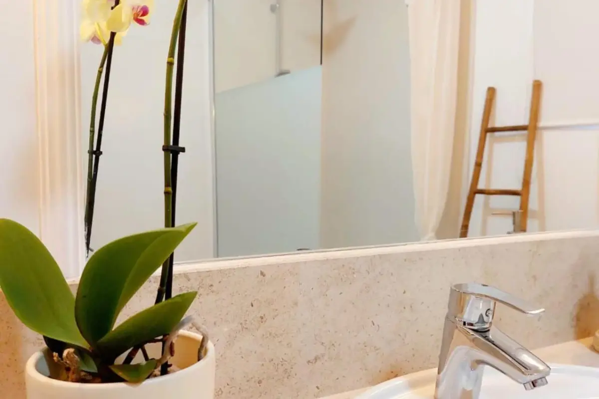 Casa das Laranjeiras - Imagem 27