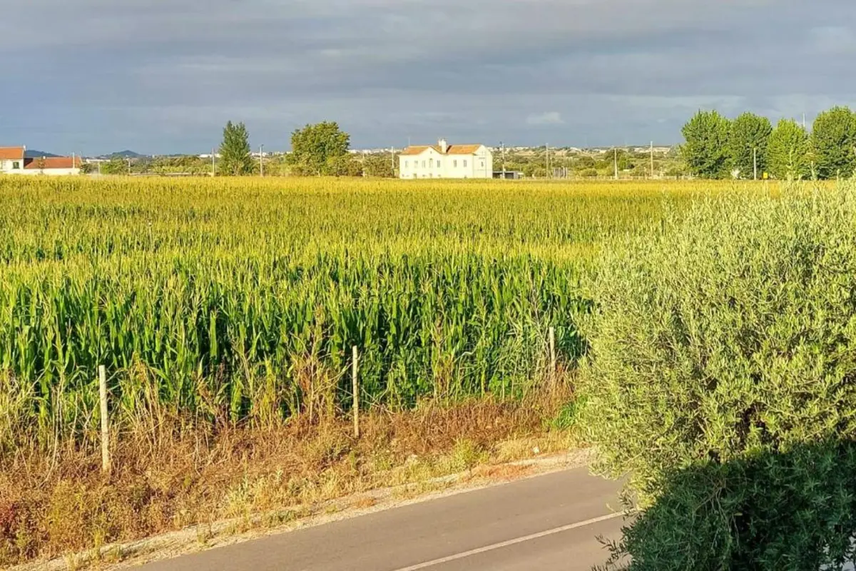 Casa das Laranjeiras - Imagem 38