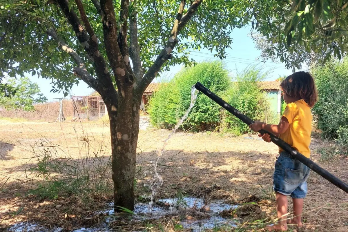 Casa das Laranjeiras - Imagem 39