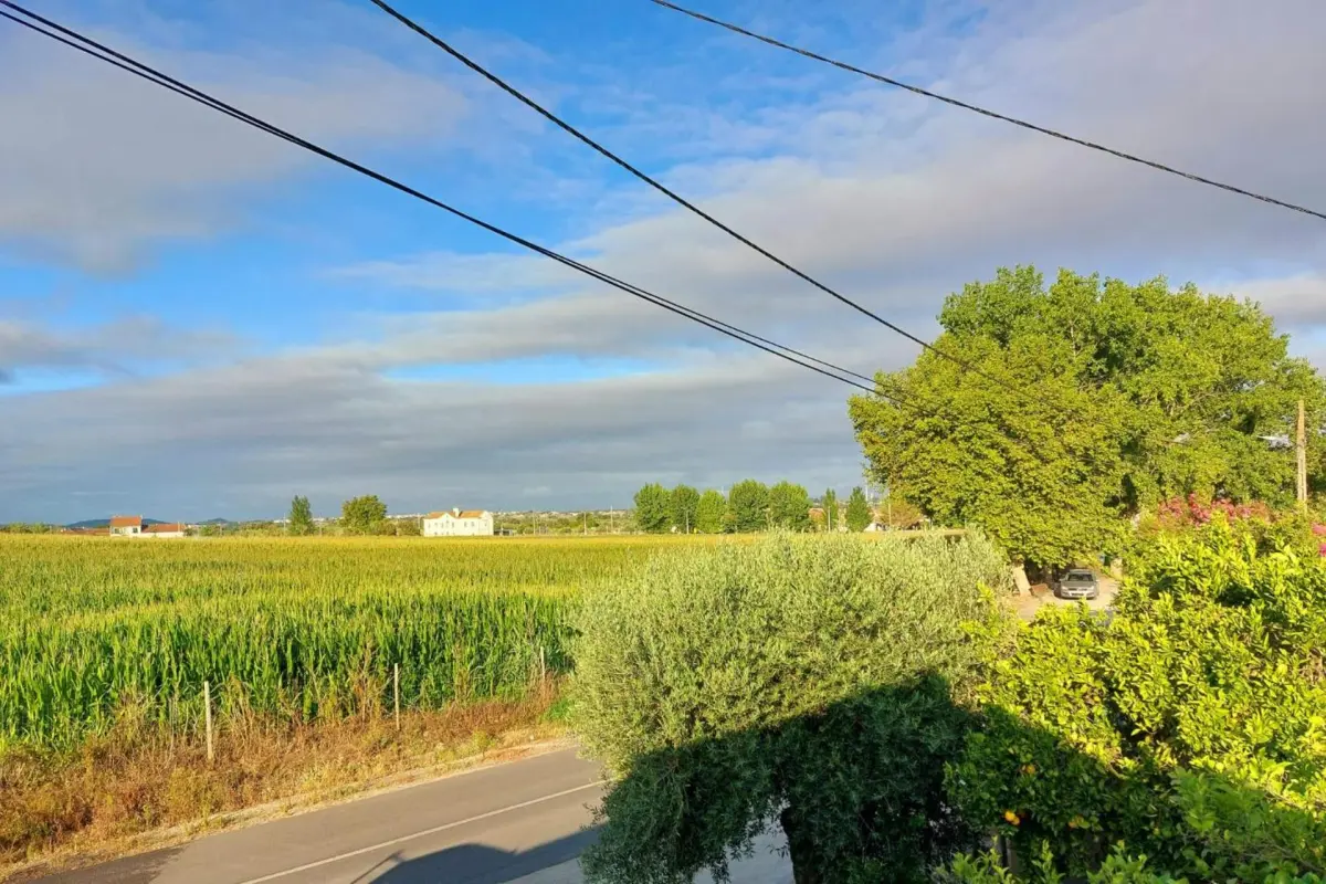 Casa das Laranjeiras - Imagem 82