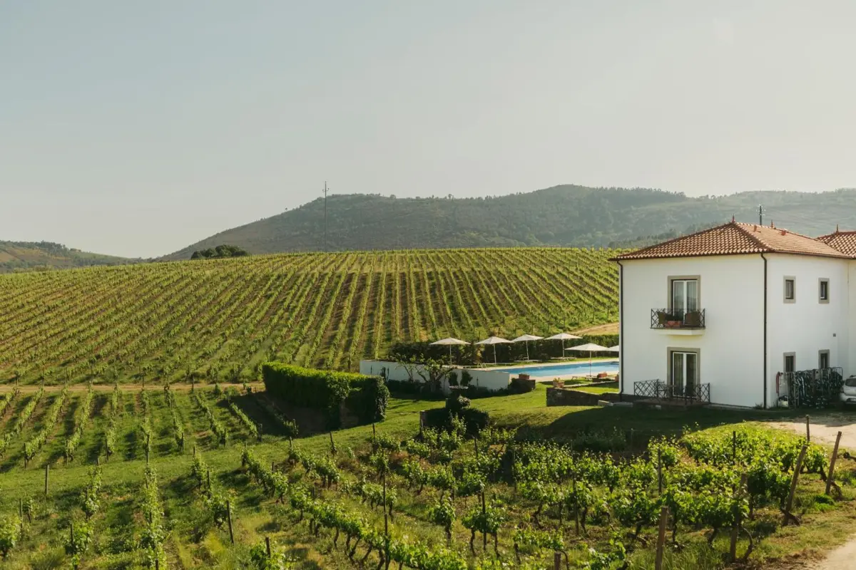 Casa das Pipas / Quinta do Portal - Imagem 16