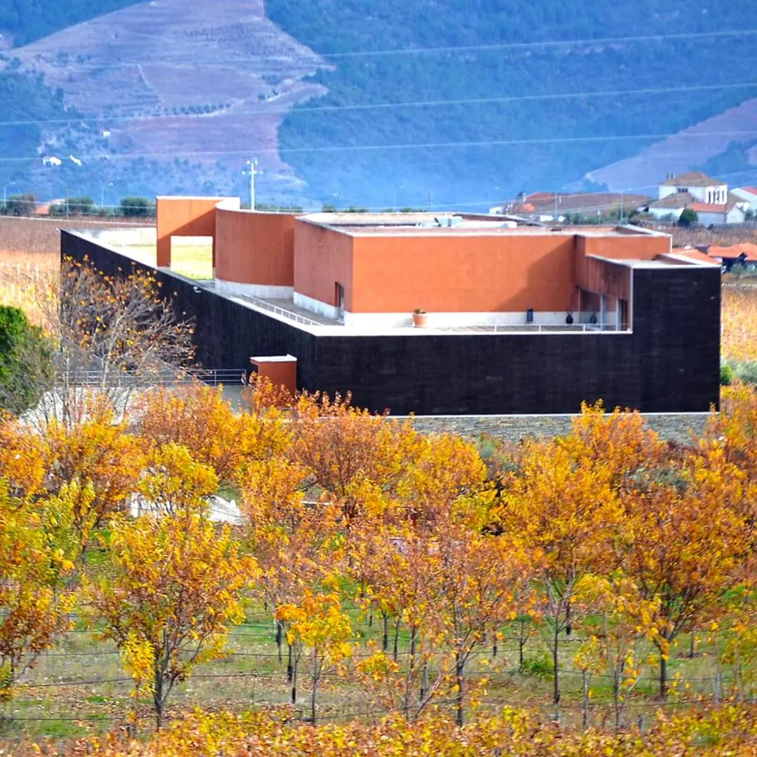 Casa das Pipas / Quinta do Portal - Imagem 20