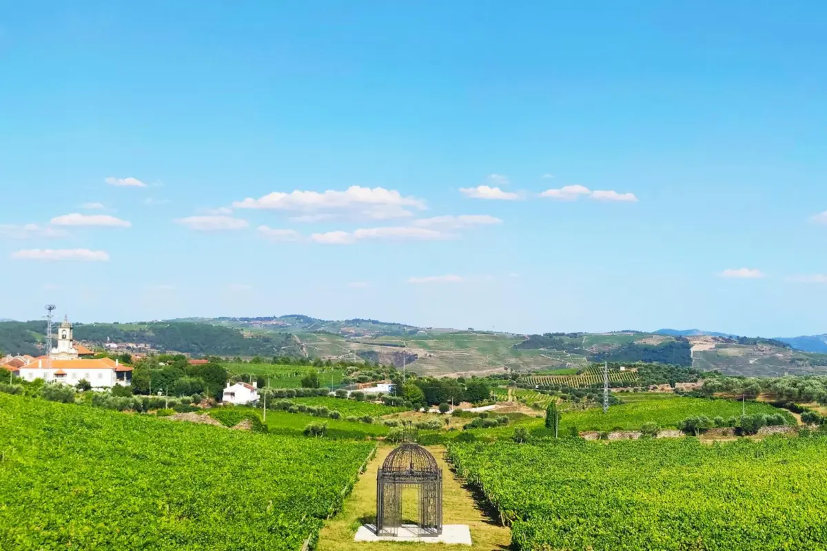 Casa das Pipas / Quinta do Portal - Imagem 27