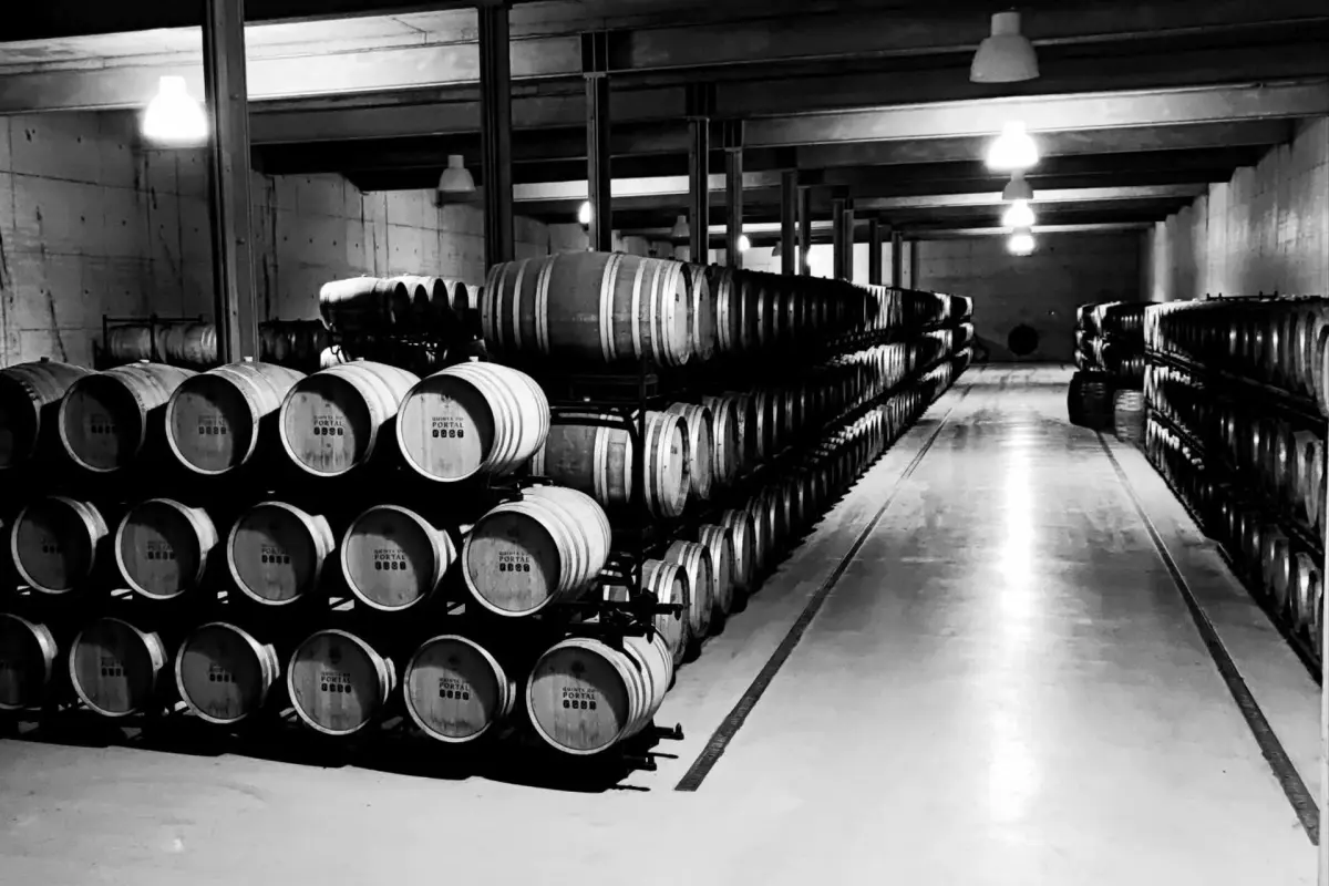 Casa das Pipas / Quinta do Portal - Imagem 31