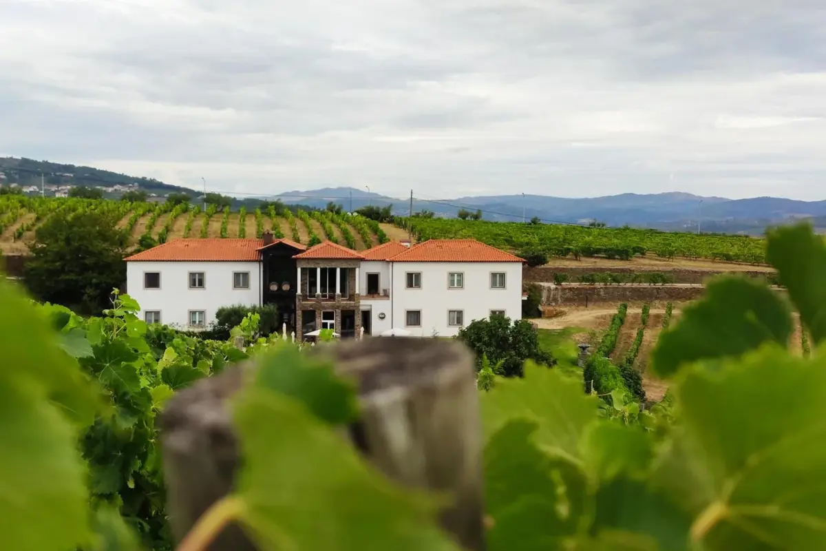 Casa das Pipas / Quinta do Portal - Imagem 33