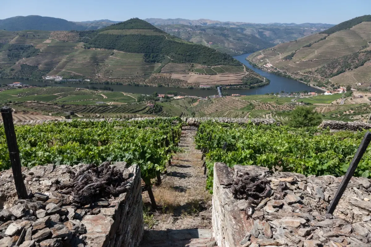 Discover Casa De Casal De Loivos: The Perfect Refuge for Everyone - Imagem 4