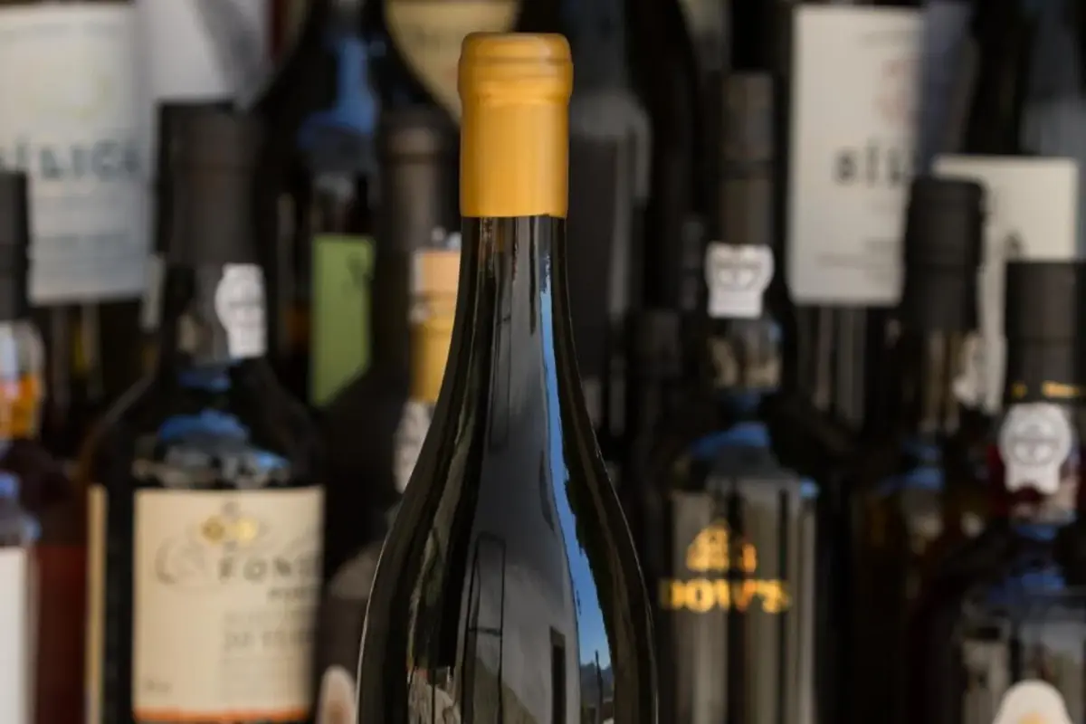 Discover Casa De Casal De Loivos: The Perfect Refuge for Everyone - Imagem 32