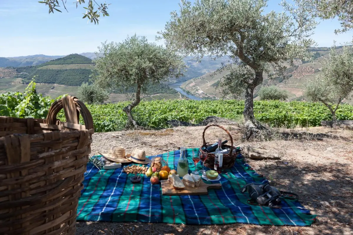 Discover Casa De Casal De Loivos: The Perfect Refuge for Everyone - Imagem 37