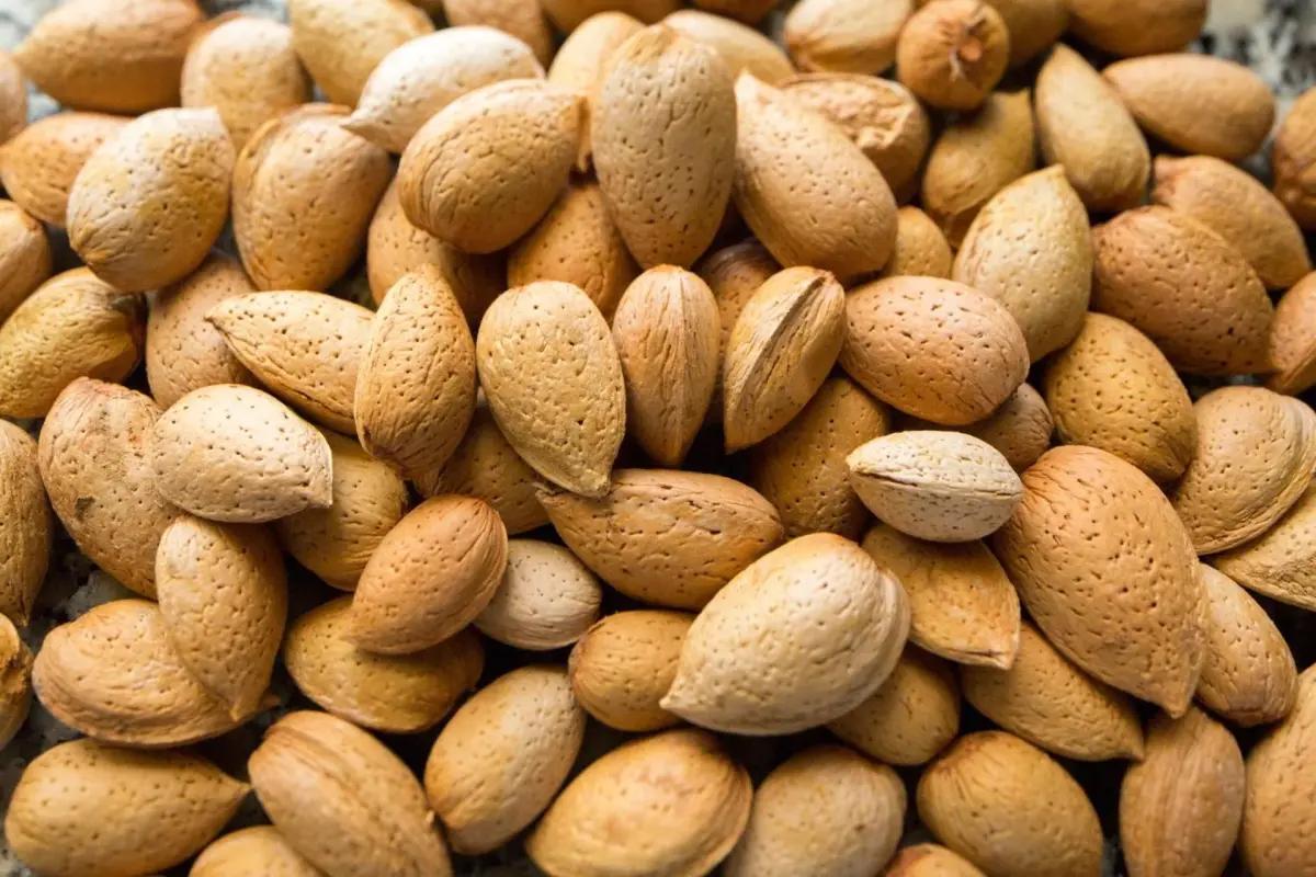 Discover Casa De Casal De Loivos: The Perfect Refuge for Everyone - Imagem 40