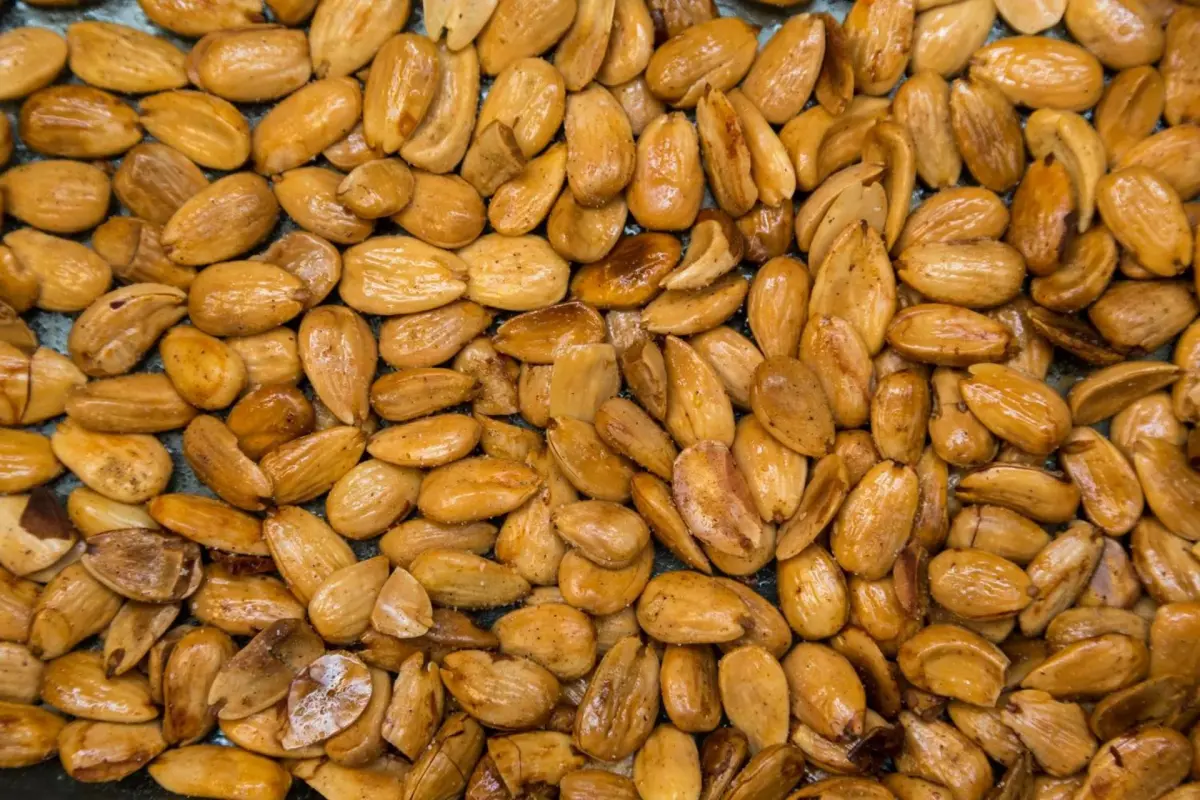 Discover Casa De Casal De Loivos: The Perfect Refuge for Everyone - Imagem 41