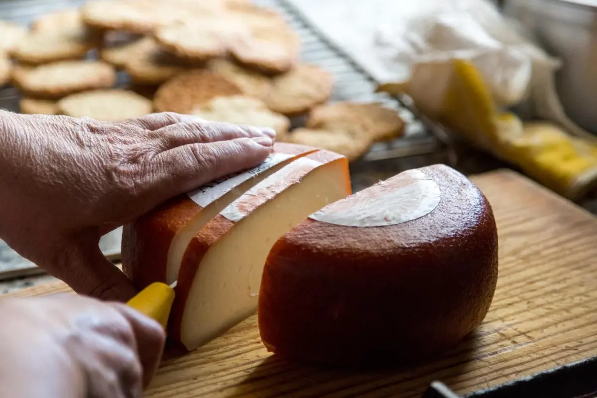 Discover Casa De Casal De Loivos: The Perfect Refuge for Everyone - Imagem 44