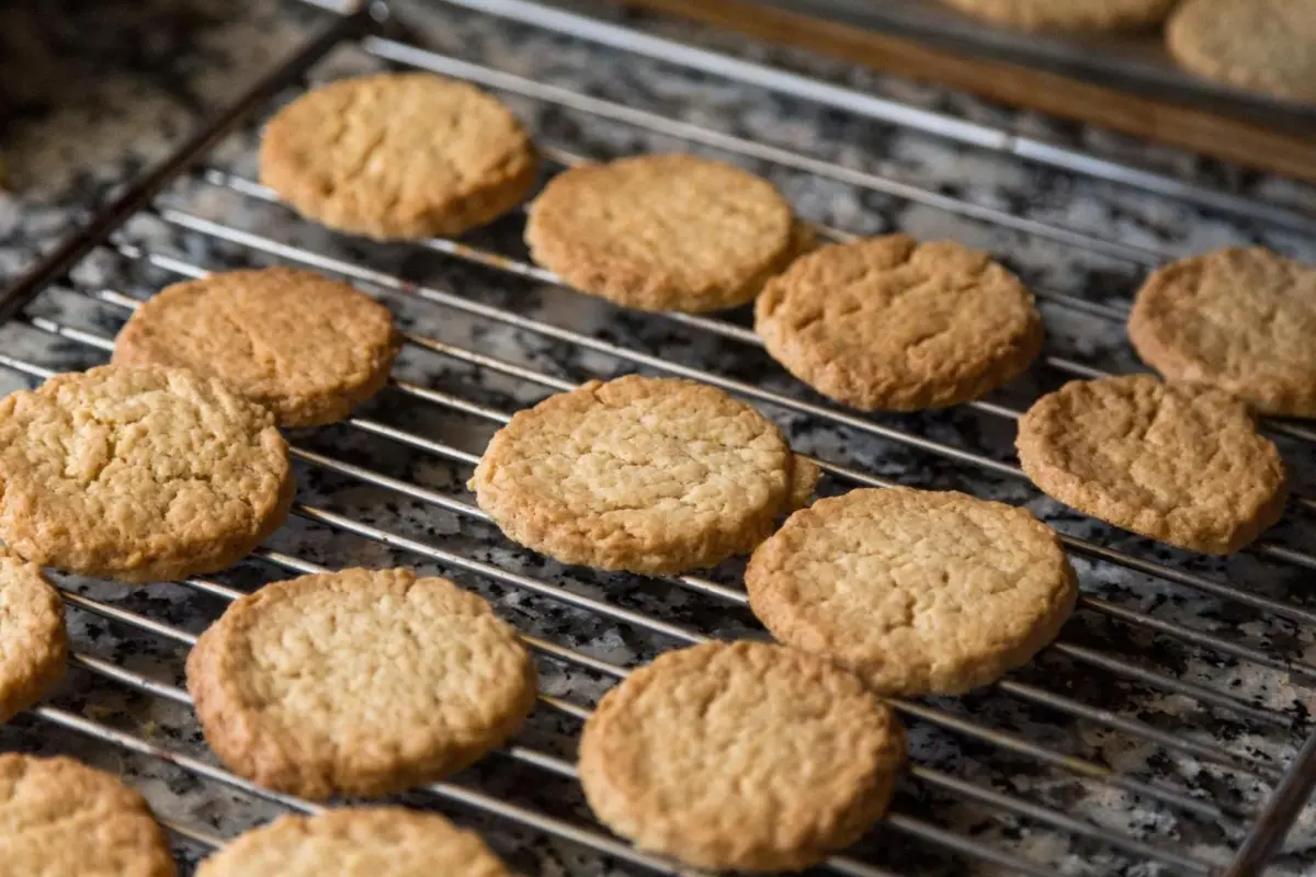 Discover Casa De Casal De Loivos: The Perfect Refuge for Everyone - Imagem 46