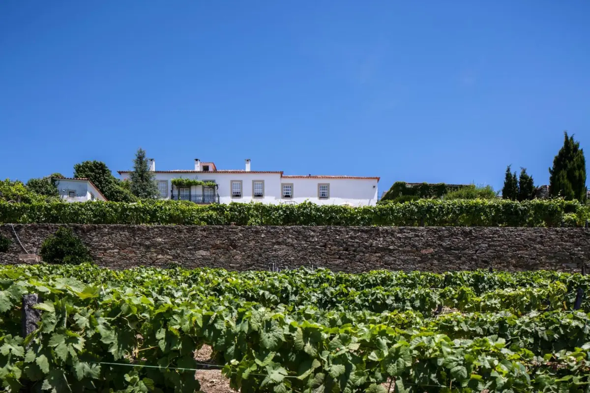 Discover Casa De Casal De Loivos: The Perfect Refuge for Everyone - Imagem 49