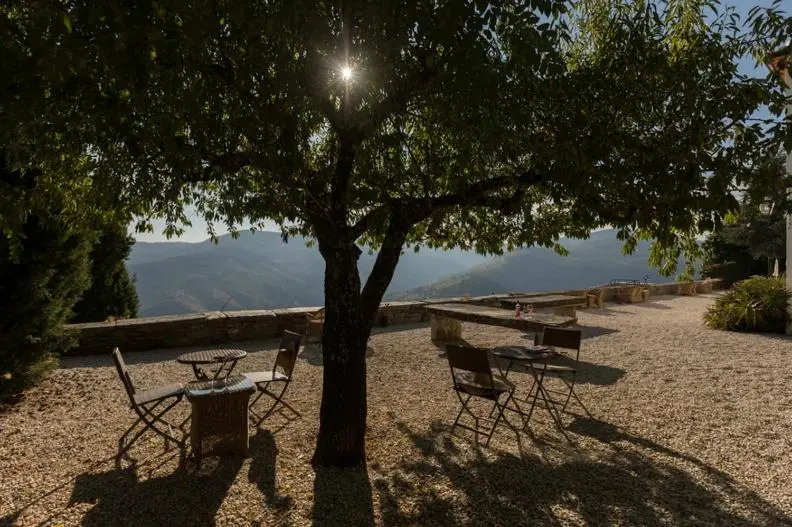 Discover Casa De Casal De Loivos: The Perfect Refuge for Everyone - Imagem 50