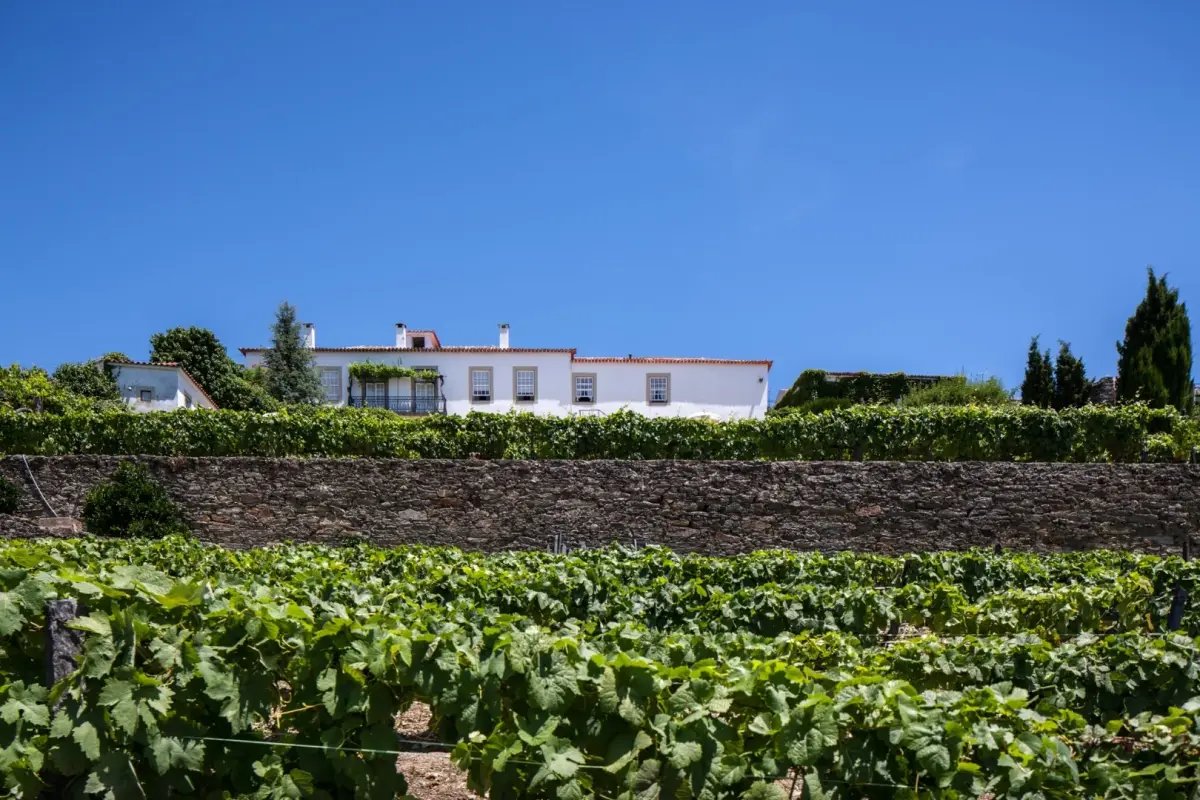 Discover Casa De Casal De Loivos: The Perfect Refuge for Everyone - Imagem 8