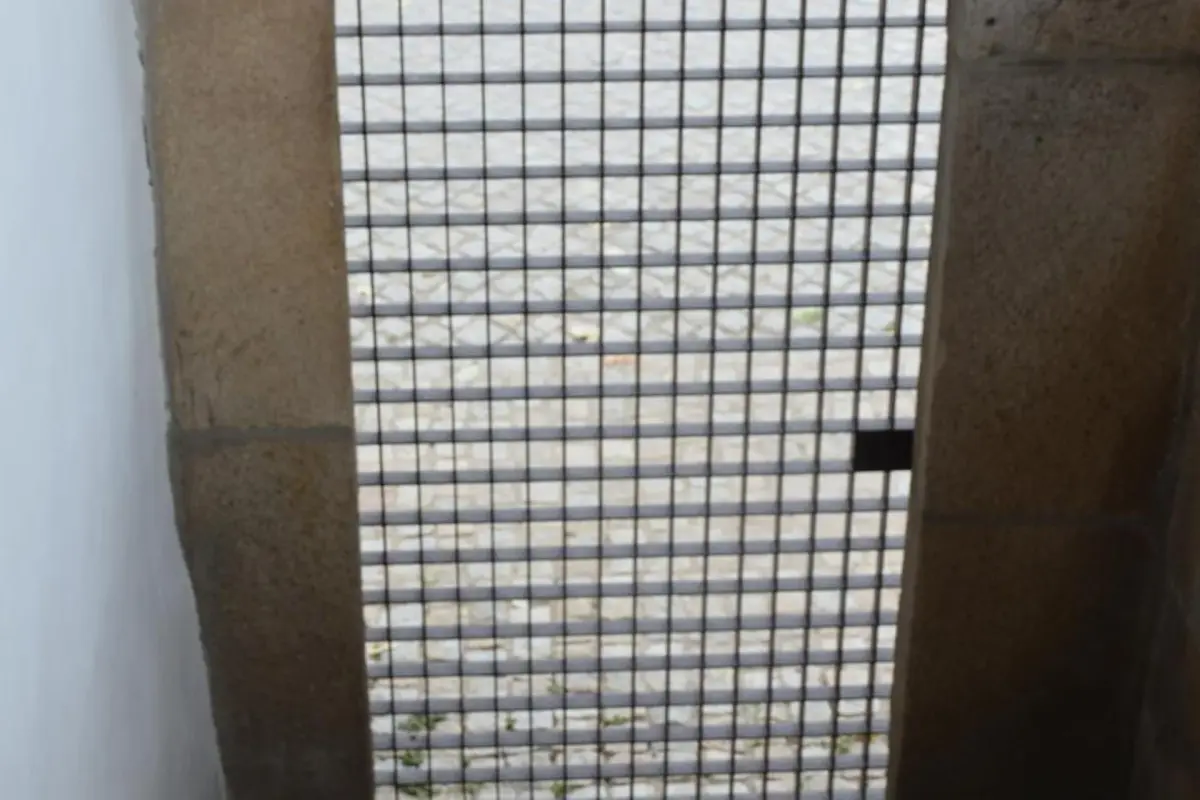 Descubra a Casa de Santa Cruz: Uma Experiência Inesquecível em Hospitalidade - Imagem 54