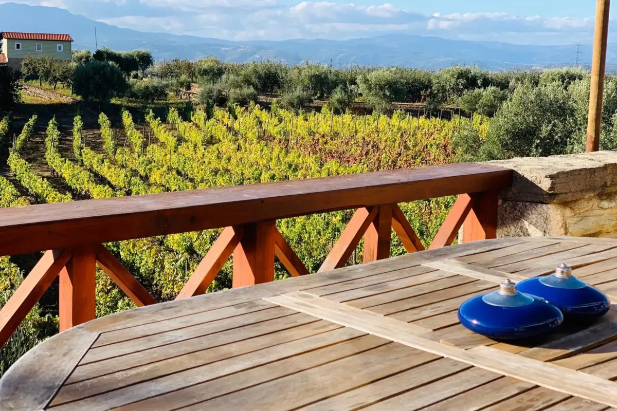 Casa de São Miguel Douro - Imagem 12