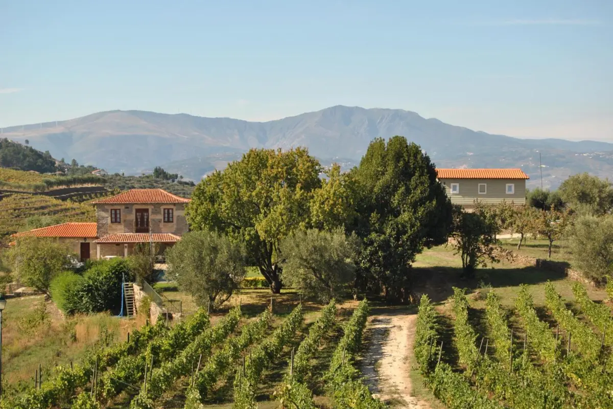 Casa de São Miguel Douro - Imagem 20