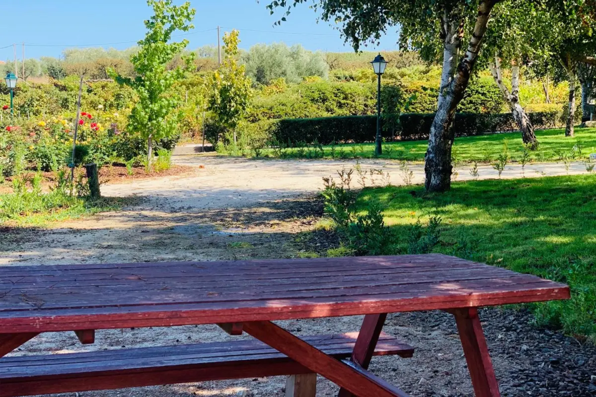 Casa de São Miguel Douro - Imagem 28