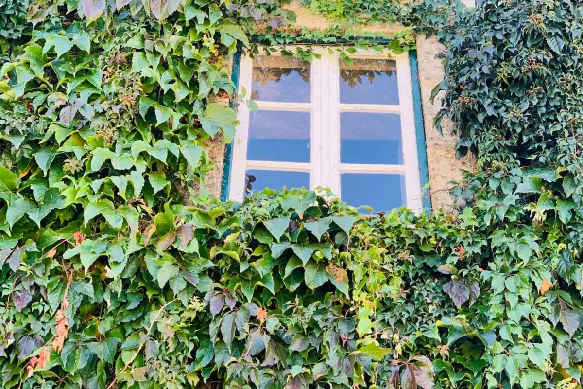 Casa de São Miguel Douro - Imagem 29