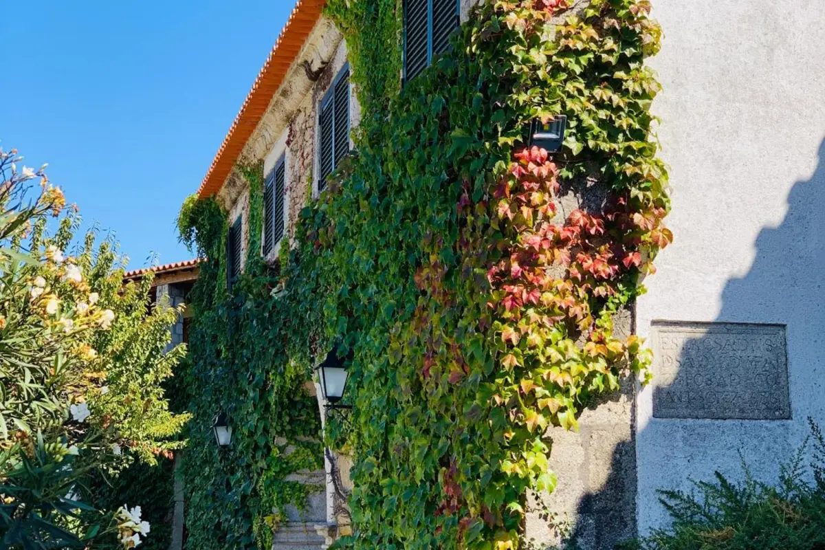 Casa de São Miguel Douro - Imagem 31