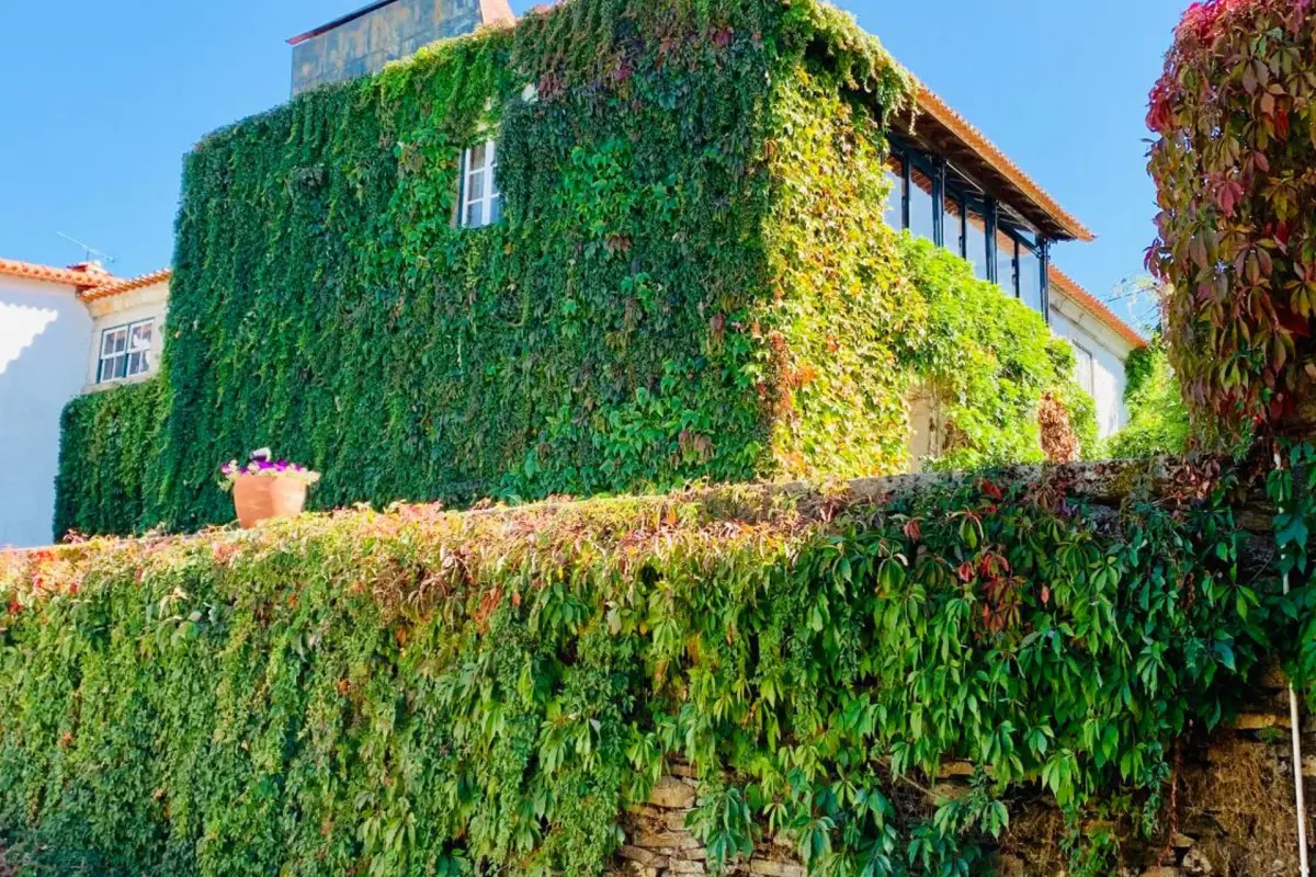 Casa de São Miguel Douro - Imagem 33