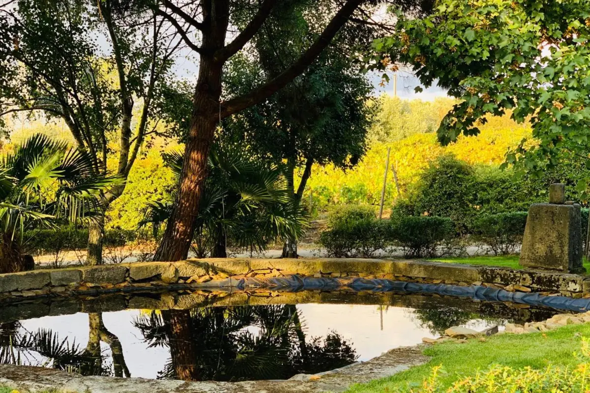 Casa de São Miguel Douro - Imagem 34