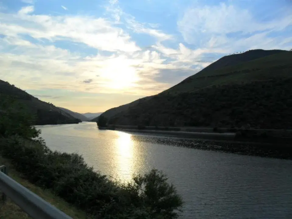 Discover Casa do Brasão: The Gem of Hospitality - Imagem 50