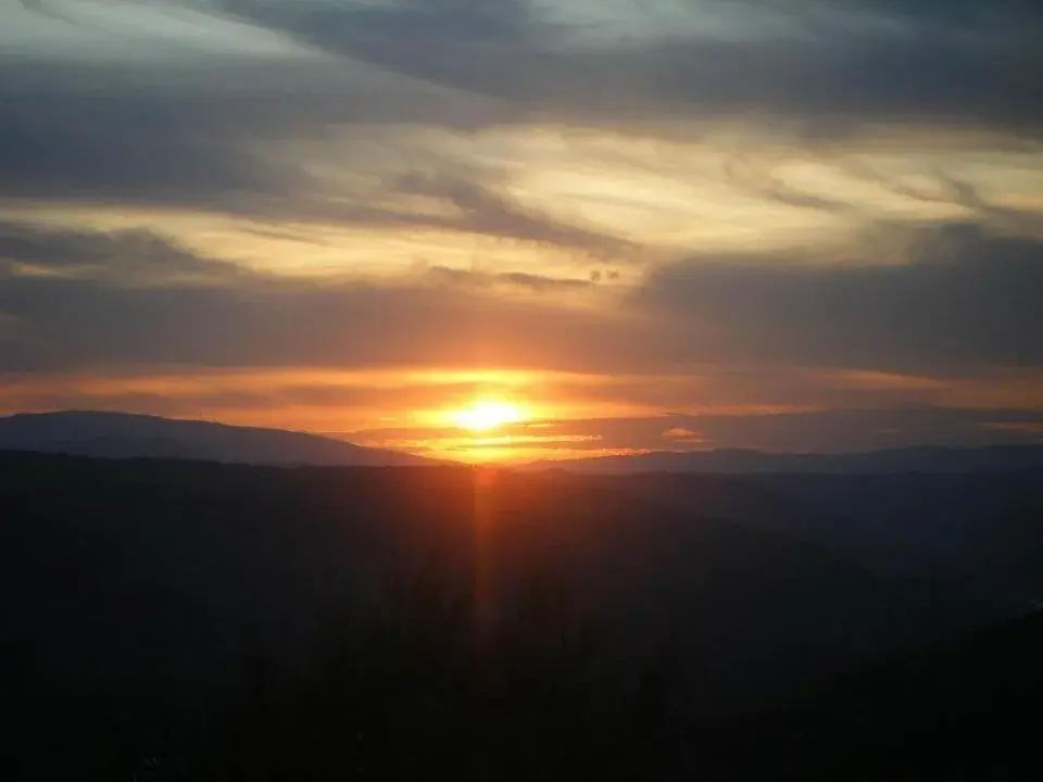 Discover Casa do Brasão: The Gem of Hospitality - Imagem 53