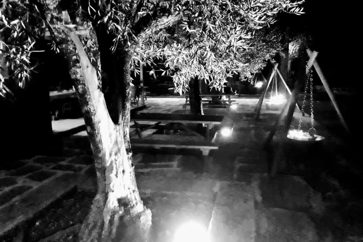 Discover the Casa do Prado Guesthouse: The Perfect Refuge - Imagem 66