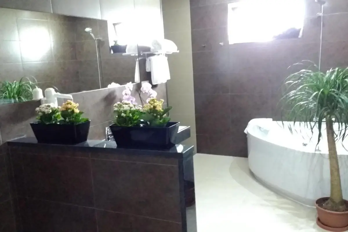 Discover the Casa do Prado Guesthouse: The Perfect Refuge - Imagem 69