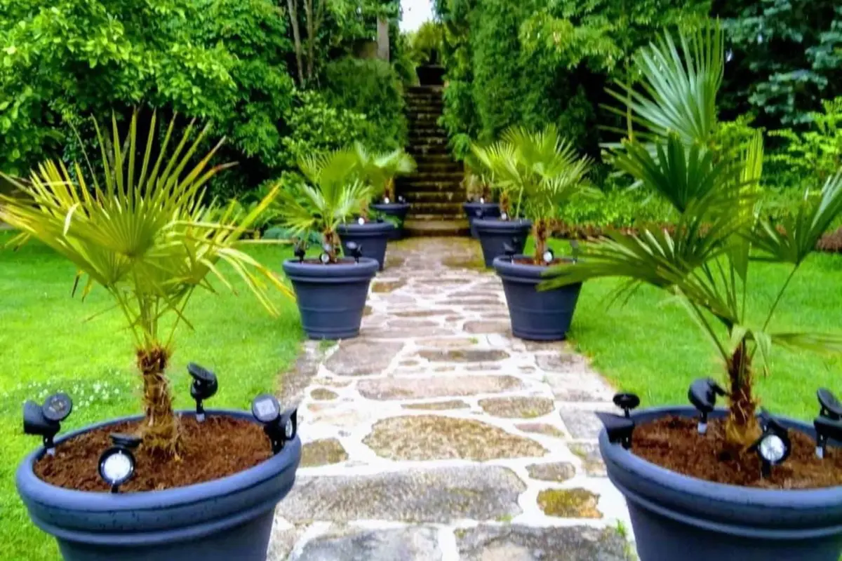 Discover the Casa do Prado Guesthouse: The Perfect Refuge - Imagem 72