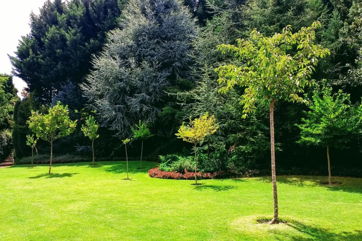 Discover the Casa do Prado Guesthouse: The Perfect Refuge - Imagem 76