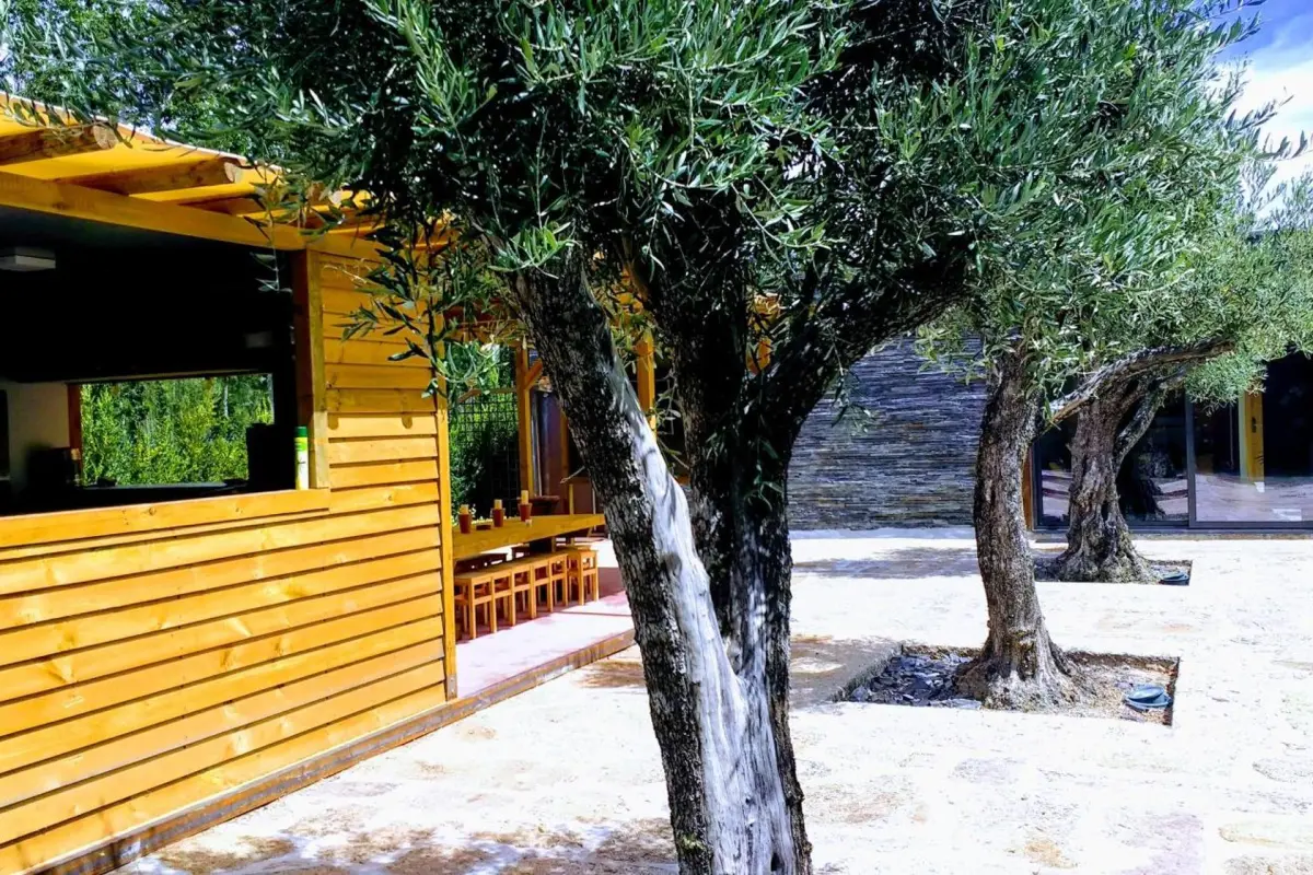 Discover the Casa do Prado Guesthouse: The Perfect Refuge - Imagem 77